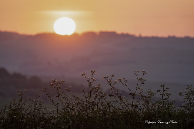 Sunrise on the South Downs National Park, East Sussex, England, Uk, Gb.