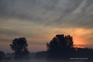 Sunrise through mist  -  (Published by GETTY IMAGES)