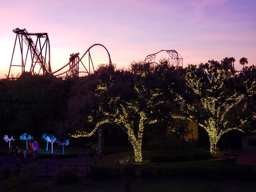 sunset galaxys9 2019 november2019 tampa buschgardens florida rollercoaster cameraphone