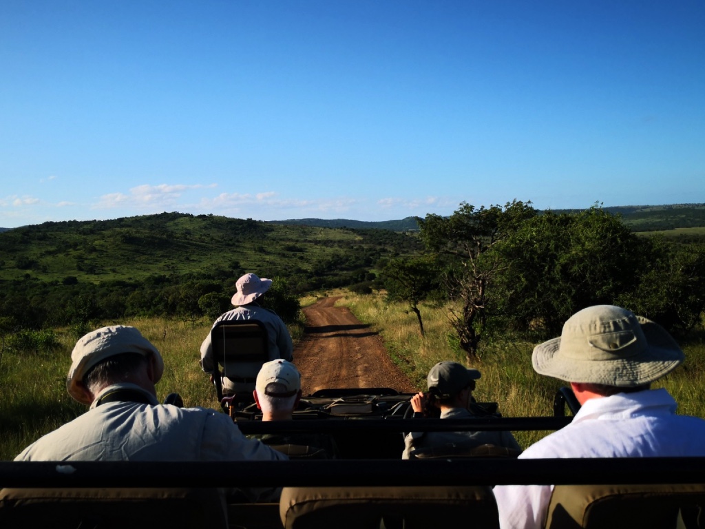 Game drive within Phinda Private Game Reserve