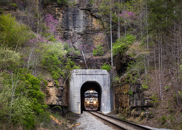 Cub Creek Tunnel