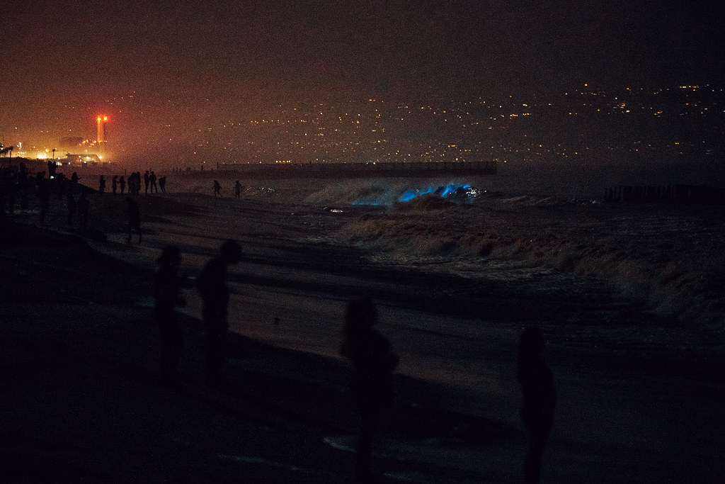 Red tide in Los Angeles | Bioluminescence during Covid-19 | Flickr