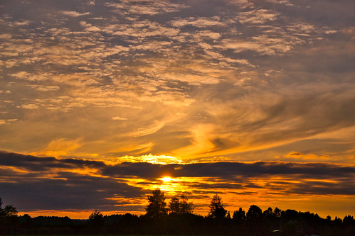 sky evening sunset cloud sun tree silhouette landscape bayern bavaria spring sundown outdoor may freilassing sunsetcolors berchtesgadenerland germany deutschland nikond3100 explore