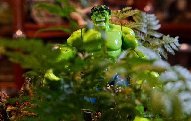 The Hulk trying to hide amongst the greenery.  Challenge Friday - Green  IMG_2940