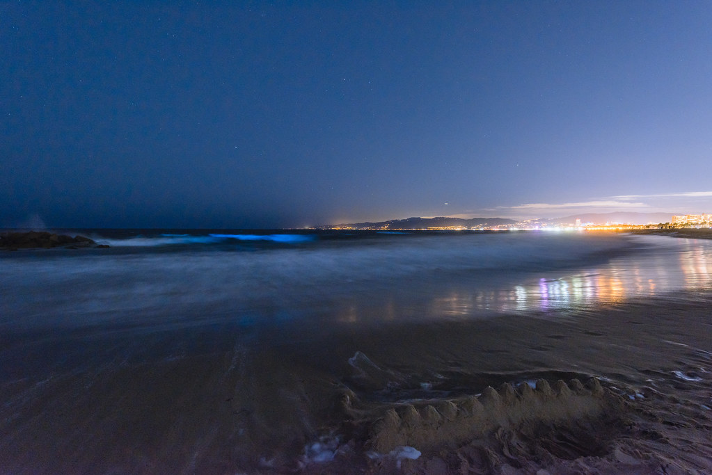 Bioluminescence Electrifies Los Angeles | This was captured … | Flickr
