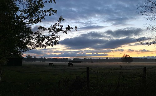 Late in the Evening by [klauspeter], peace frieden bodennebel dunst sunset nacht pferde horses mist nebel 11 iphone11 iphone