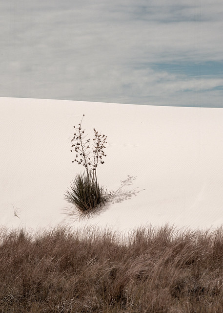 White Sands NM, New Mexico