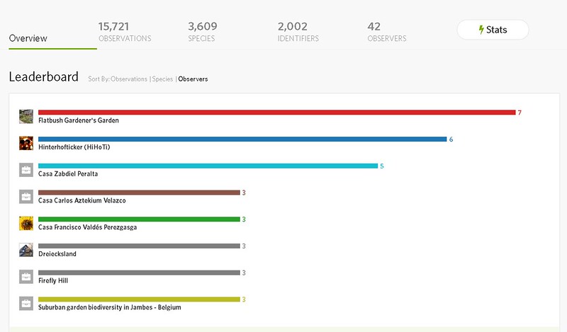 iNaturalist Home Projects Leaderboard: Flatbush Gardener's Garden is #1 for Observers!