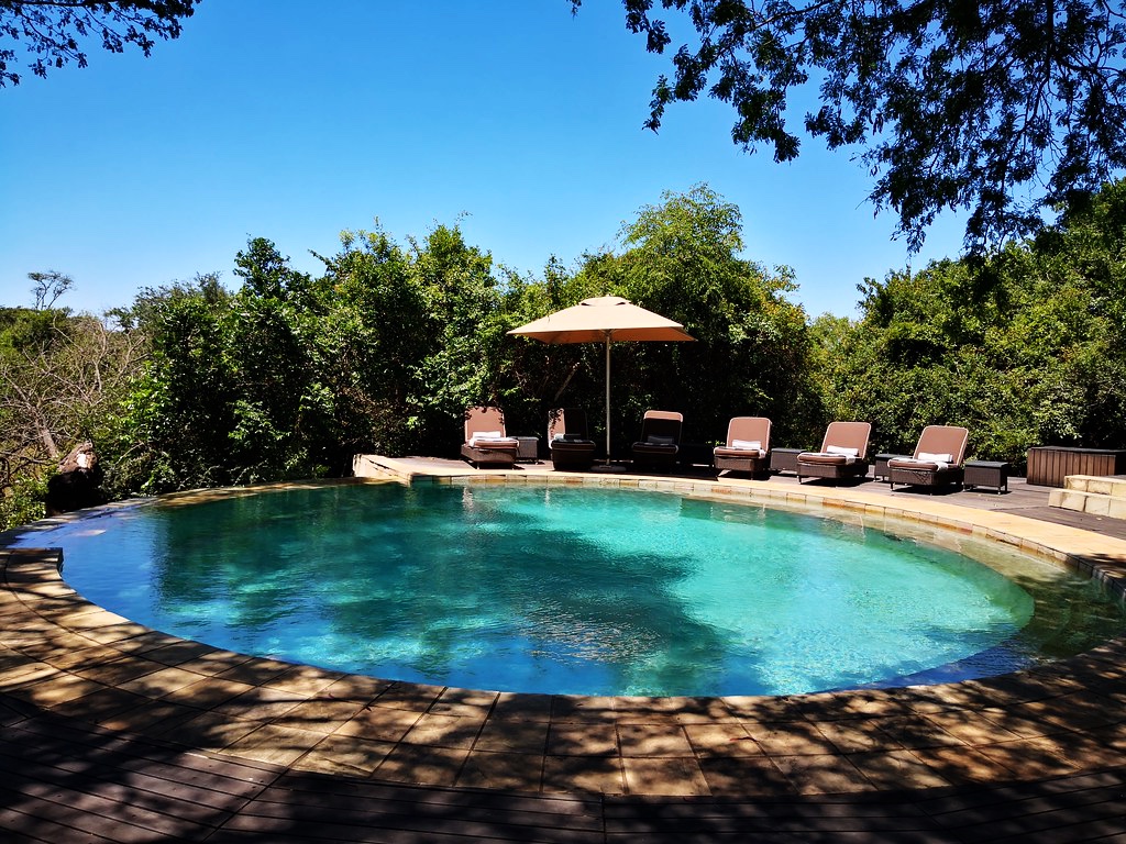 andBeyond Phinda Forest Lodge swimming pool