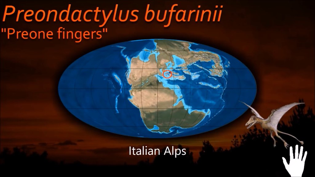 Preone 2 Preondactylus bufarinii