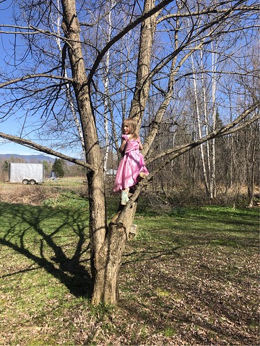 princess in a tree