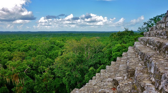 MEXICO, Mayastätte Calakmul, inmitten eines unendlich scheinenden Dschungels. verborgen, versteckt im tiefen Urwald , Blick auf die Struktur 1 die höchste Tempelpyramide, welche den  grünen Dschungel überragt , grandios,  19747/12669