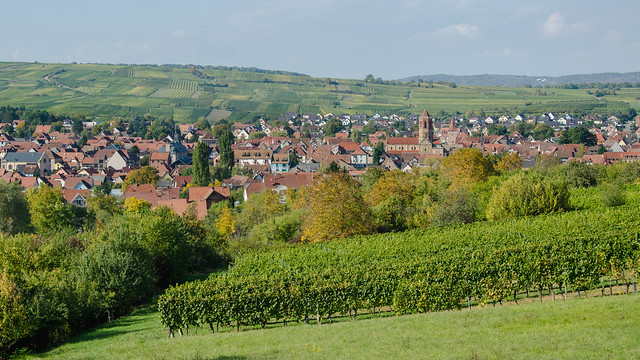 Rosheim depuis la route de Bœrsch