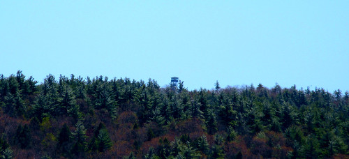 pawtuckaway state park deerfield nottingham raymond nh new hampshire lake mountain forest woods trees newhampshiregranitegreat fire tower
