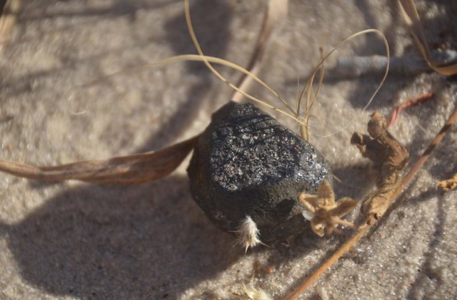 VCSE - A 2018 LA kisbolygó egyik Botswanában megtalált meteoritdarabja. - Forrás: earthsky.org
