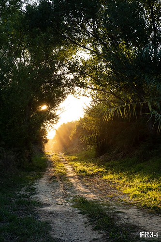 Vers la lumière by Cemoi34, Chemin vers la lumierestyle photomarty francoismarty francoiscemoi marty photocemoi photographe fr34