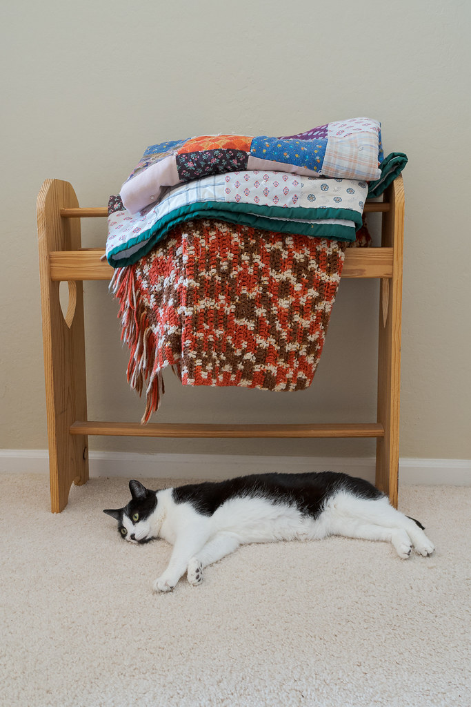 Our cat Boo rests under the quilt rack in our living room in May 2020