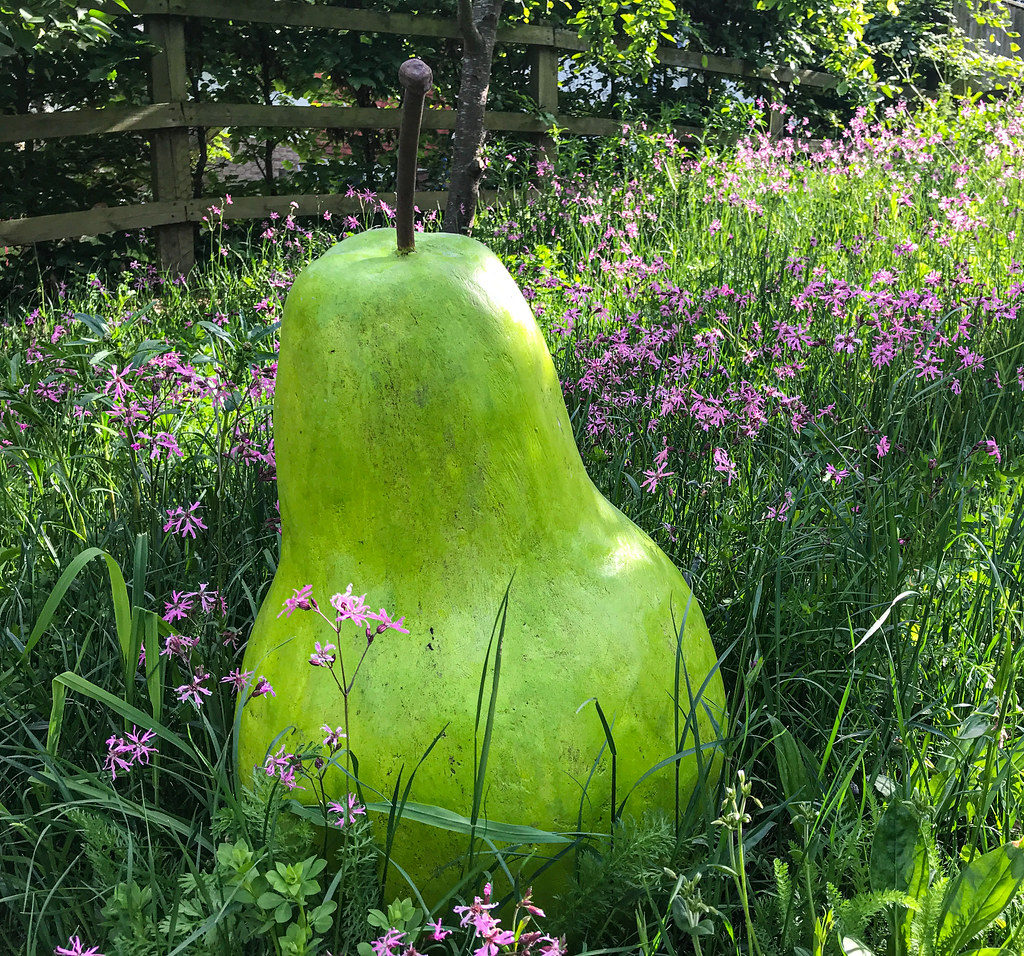 Pear in the garden meadow