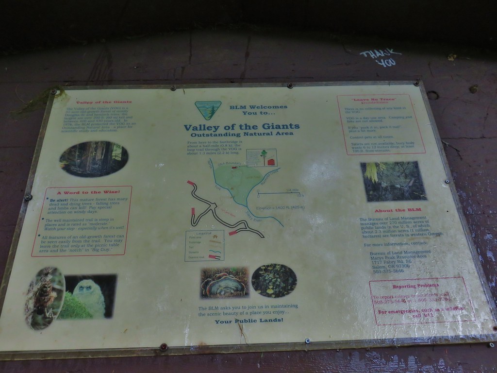 Interpretive sign at Valley of the Giants