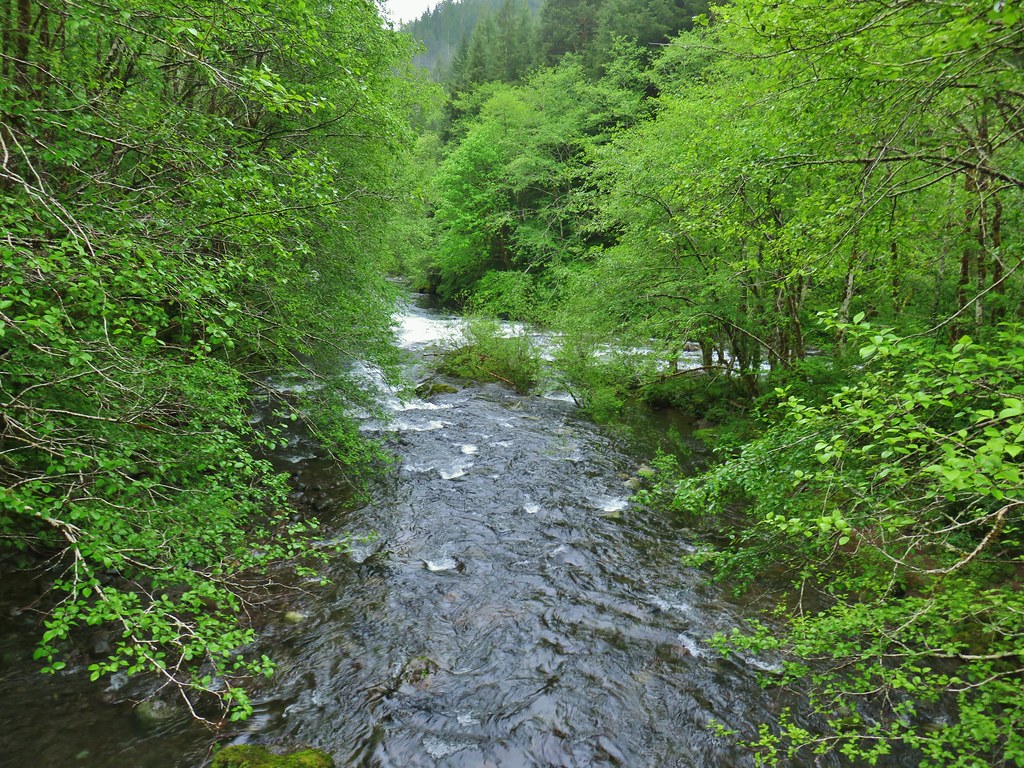 Confluence of the North and South Fork Siletz Rivers