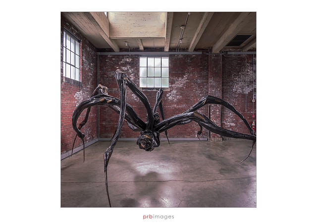 Artwork by Louise Bourgeois at Dia:Beacon