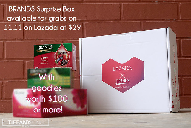 Lazada x Brands 11.11 Sale Surprise Box