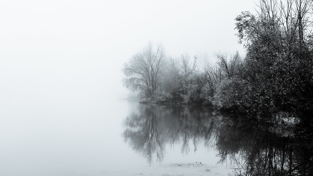 Brouillard sur la rivière