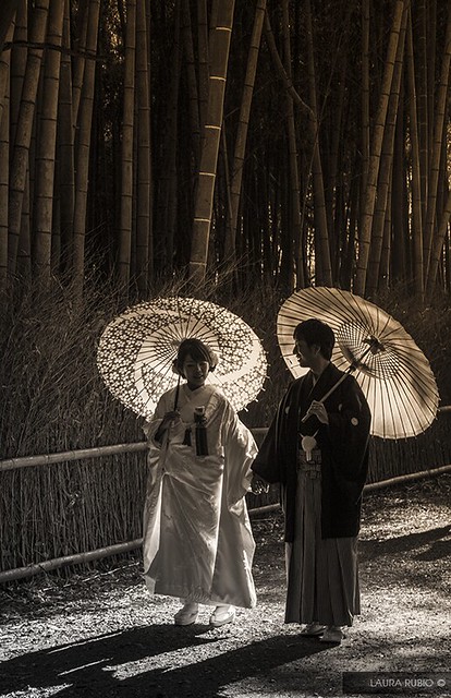 A couple in Bamboo Forest