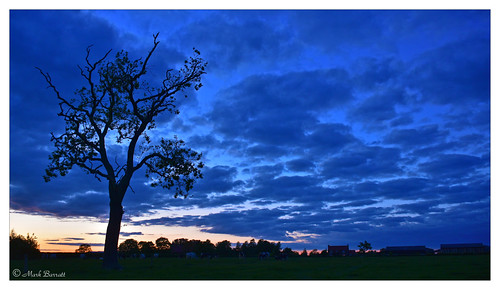 blue landscape bluesky ashtree night nightshot nightphoto nightphotography sky clouds cloudscape silhouette ©markbarratt