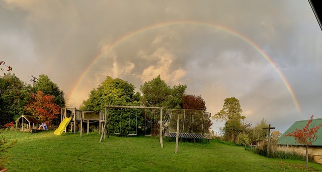 rainbow over the backyard