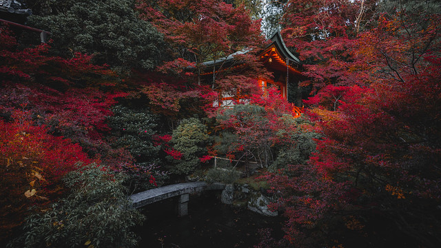 🇯🇵 Bishamondo Temple | Kyōto
