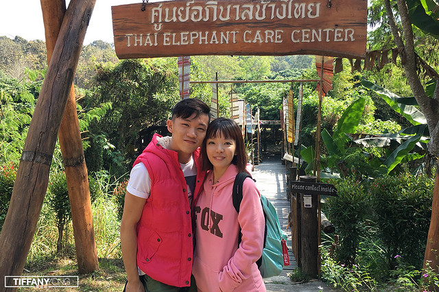 Maesa Thai Elephant Care Center