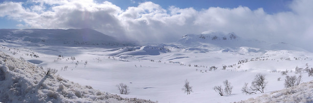Hardangervidda snows