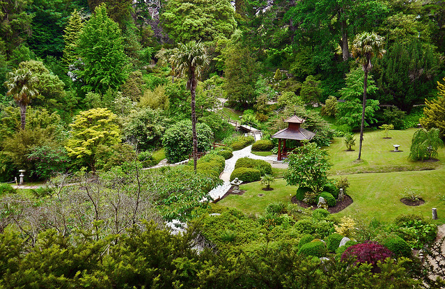 photo - Japanese Garden, Powerscourt