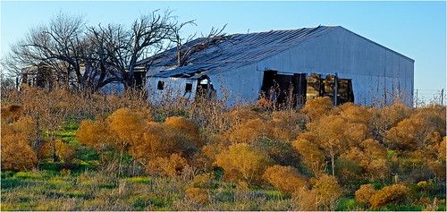 anamorphic cinemascope d60 olney youngcounty fm1768 nikkorh85mm nikon rural texas corrugated sheds farm ranch abandoned derelict