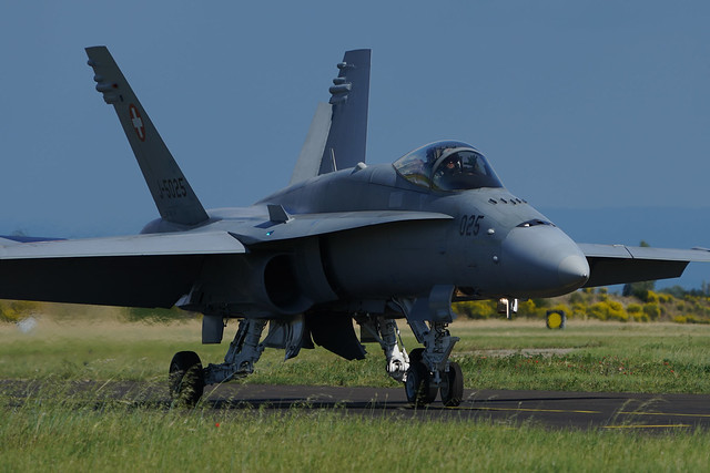 F/A-18 Swiss Hornet Solo Display Team