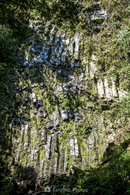 Roca basáltica cerca de la Catarata Río Fortuna