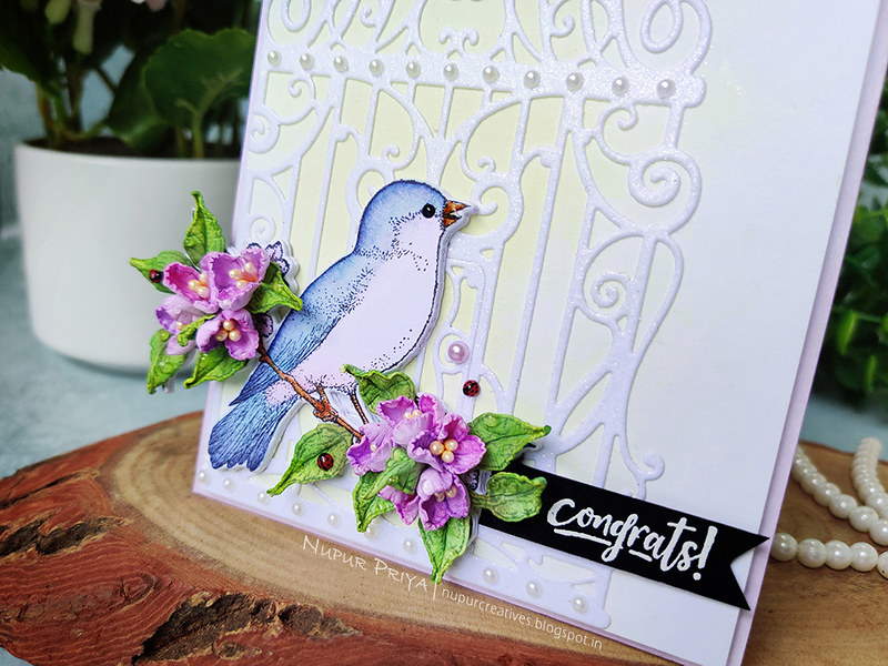 Bird and Cage Card_03