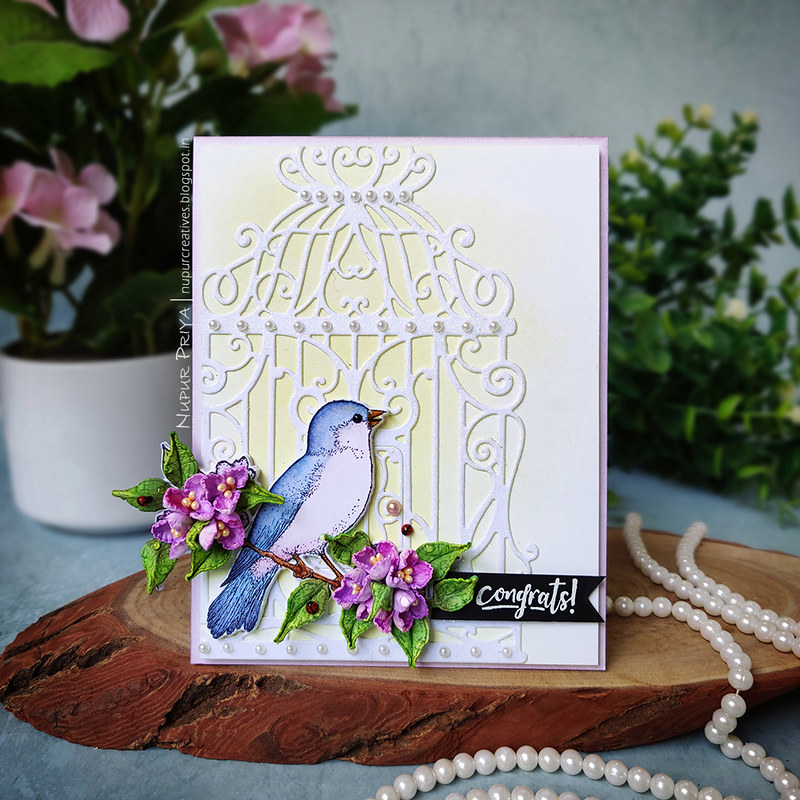 Bird and Cage Card_01
