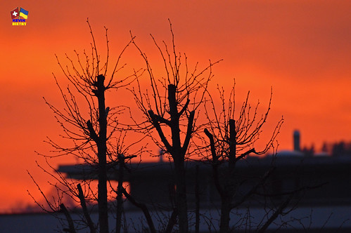 Sunset Bulle by Кевін Бієтри/kevin_in_ukraine, A very nice sunset in Bulle.
sunset tree sky nature silhouette sun landscape outdoors dawn red oran