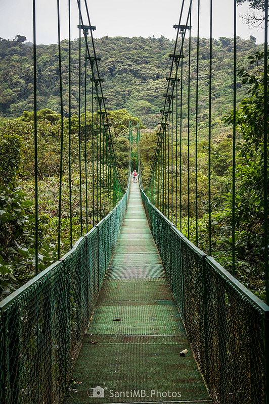 Puente número 4 de Selvatura Park