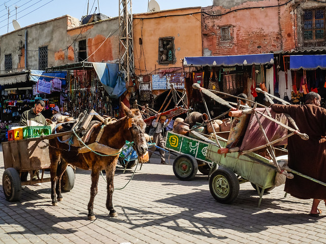 Donkey Cart Traffic, Marrakech, Morocco