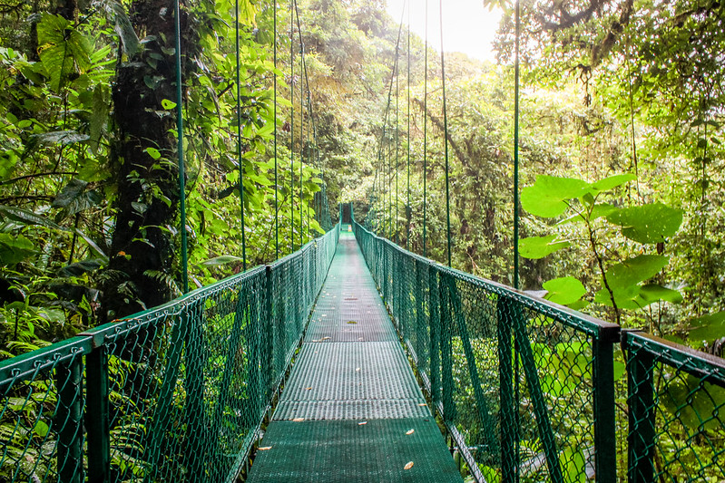 Selvatura Park Monteverde