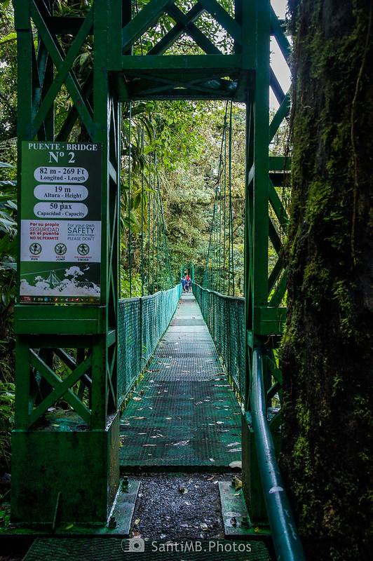 Puente número 2 de Selvatura Park