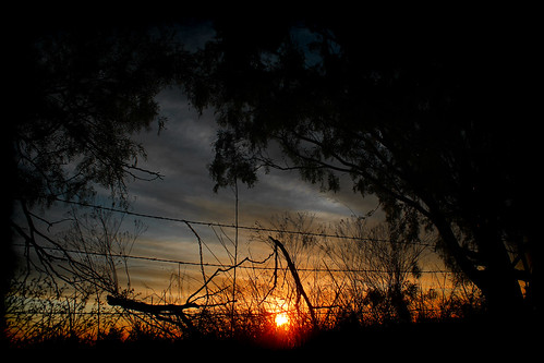 groovyal flickr sunset wire fence clouds light sundown sky