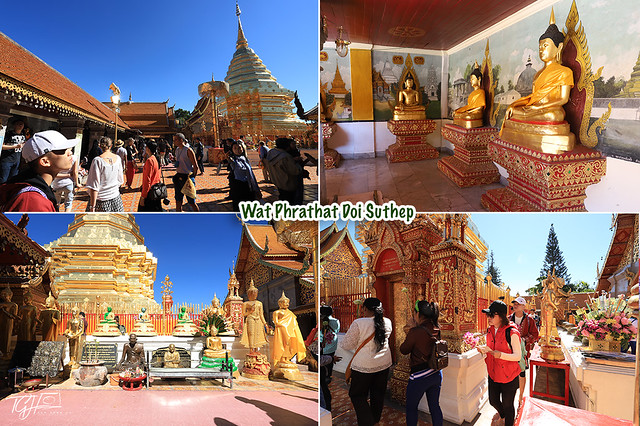 Chiang Mai Local Tours Wat Phrathat Doi Suthep