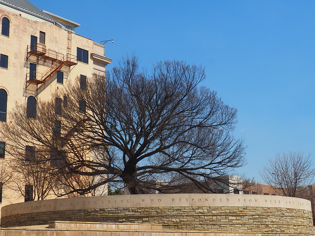 The Survivor Tree, Oklahoma City National Memorial