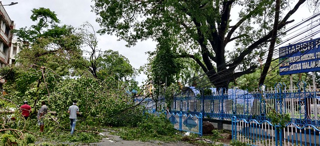 Kolkata Street after Cyclone Amphan