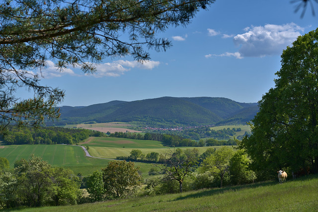 View to Unterwirbach