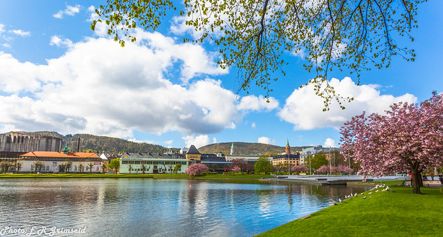 Bergen ( 1 )